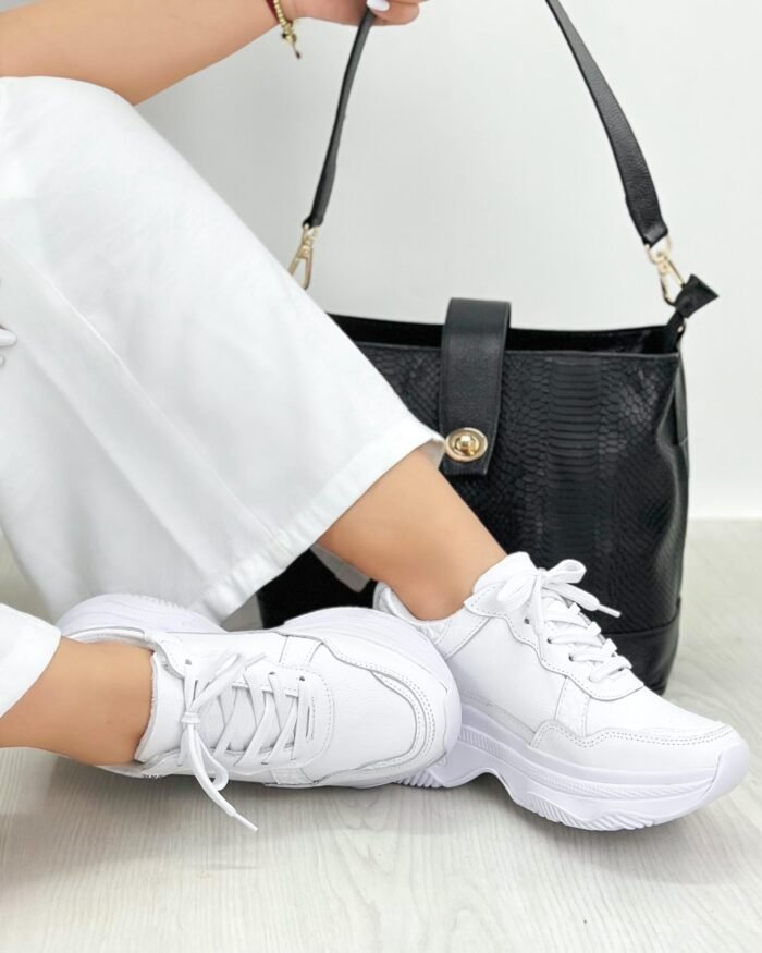 640 BLANCO TALIPE EVOLTIS