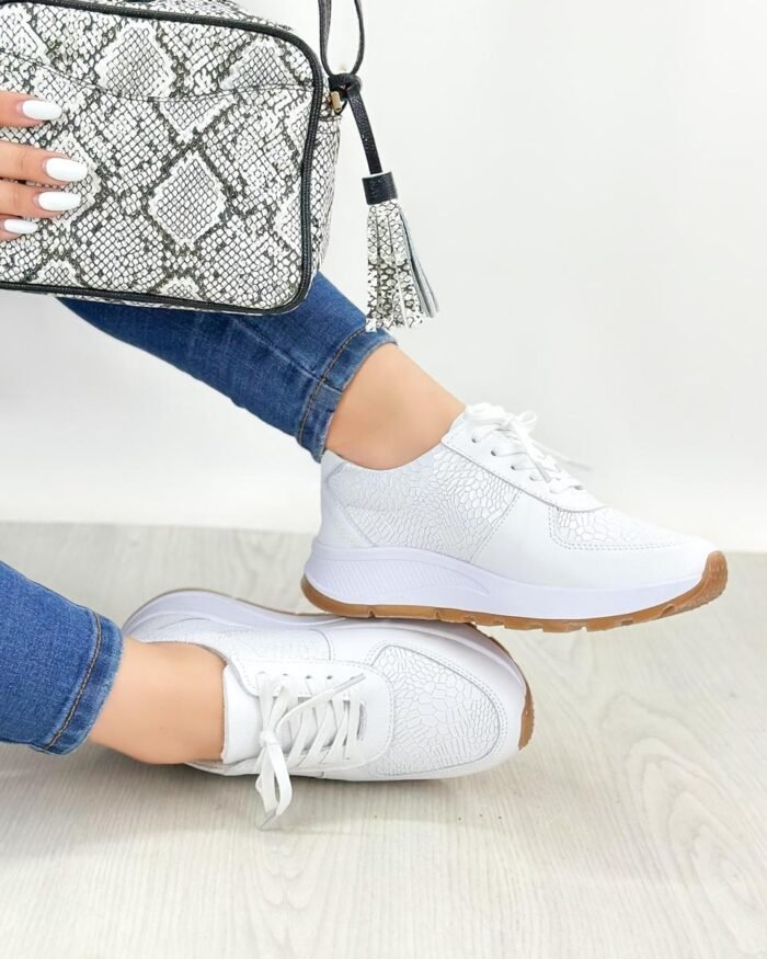 678 BLANCO BALTIMORE