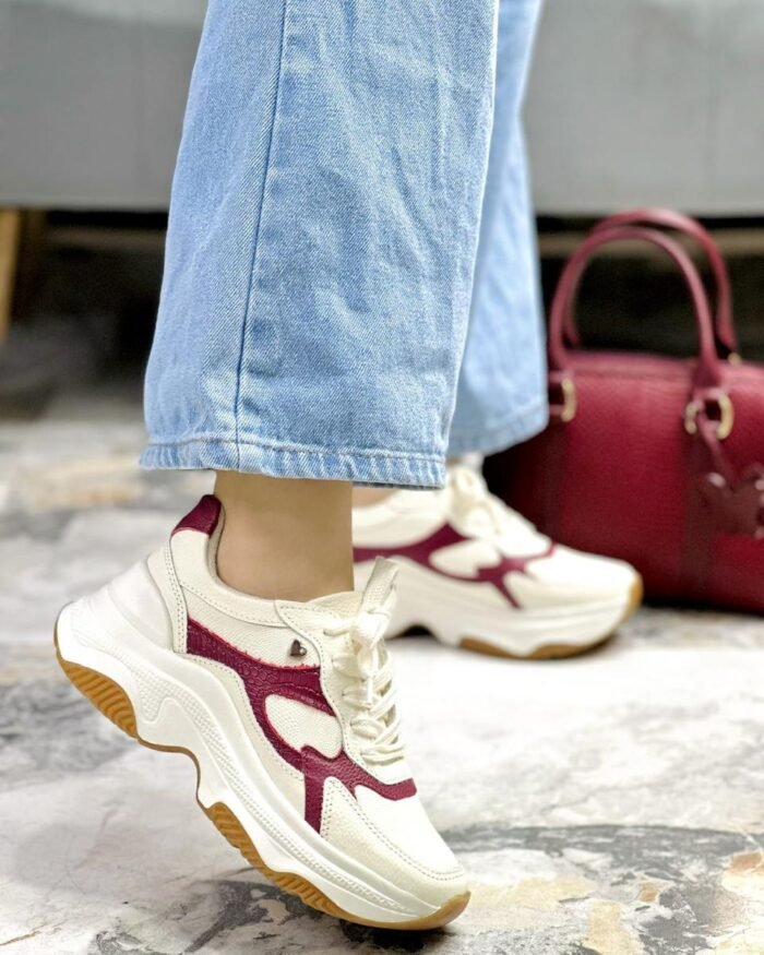 687 TALCO X VINO EVOLTYS